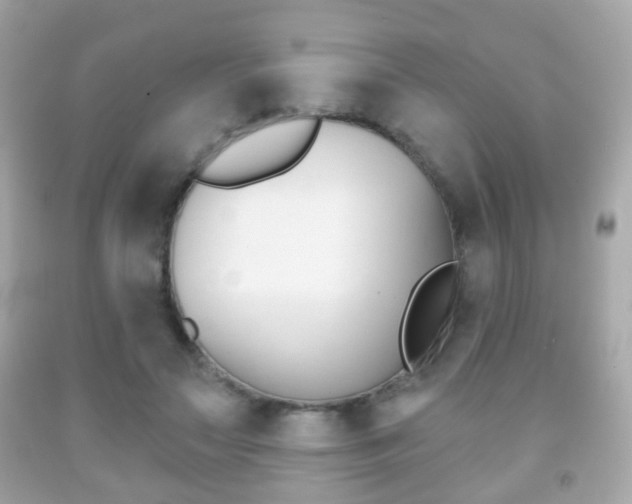 X0000091850499200709050938