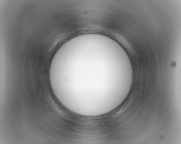 X0000091850501200709050938