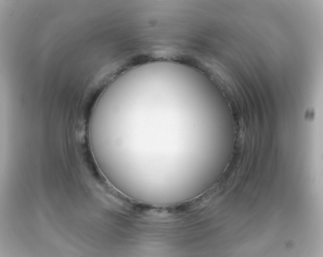 X0000091850502200709050938