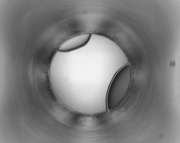 X0000091850503200709050938