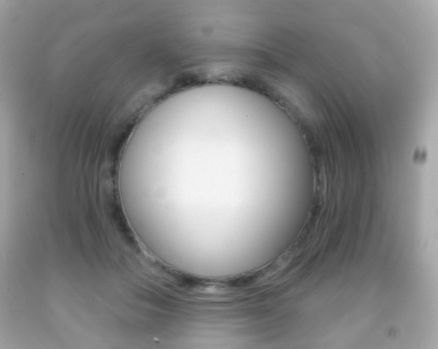 X0000091850506200709050938