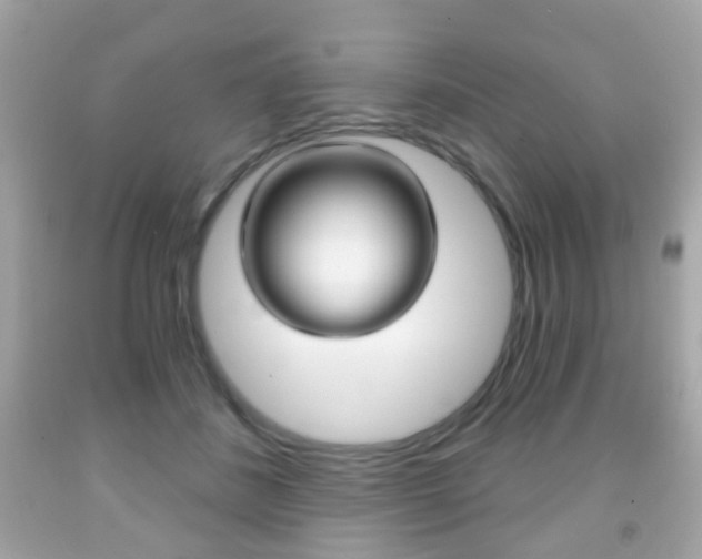 X0000091850508200709050938