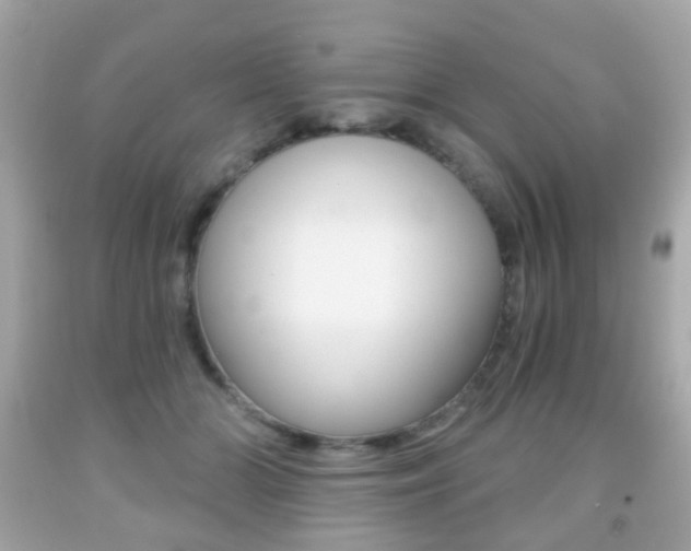 X0000091850510200709050938
