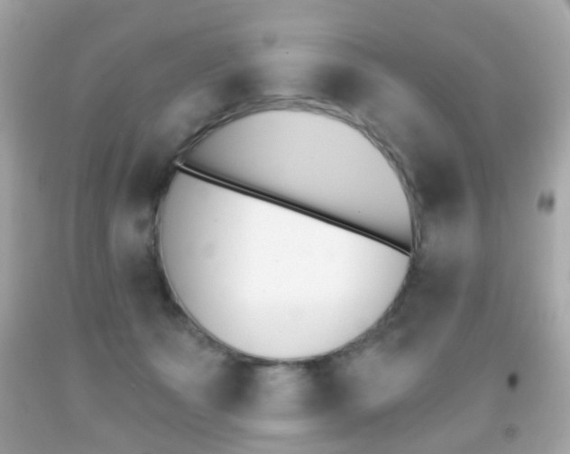 X0000091850511200709050938