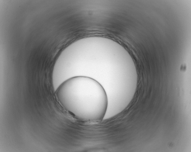 X0000091850512200709050938