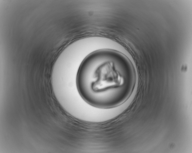 X0000091850513200709050938