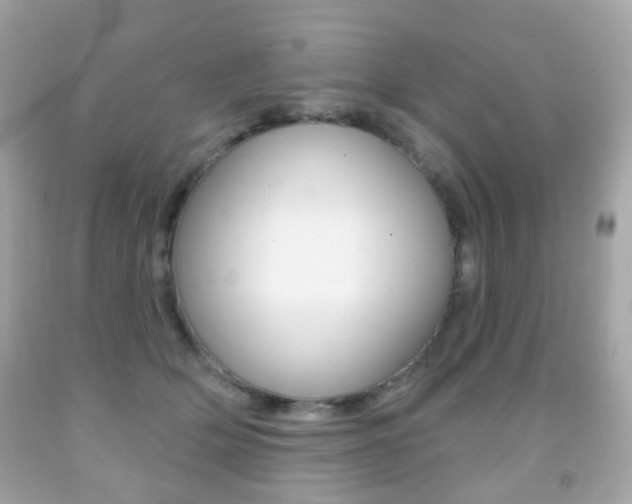 X0000091850514200709050938
