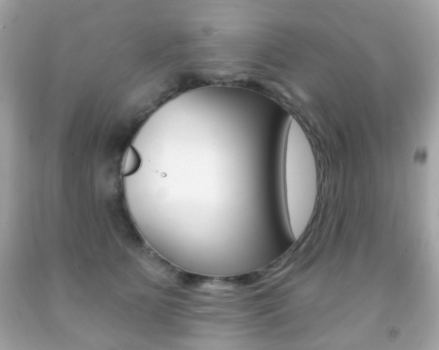 X0000091850515200709050938