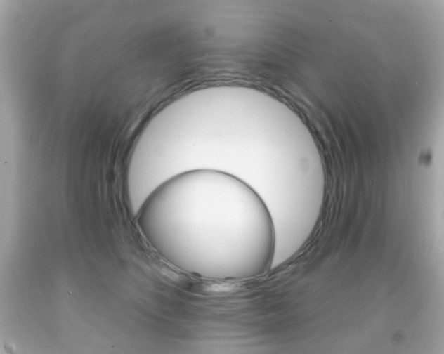 X0000091850516200709050938