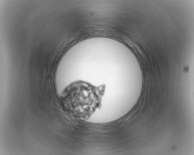 X0000091850517200709050938