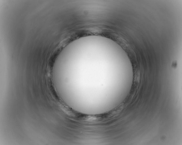 X0000091850518200709050938