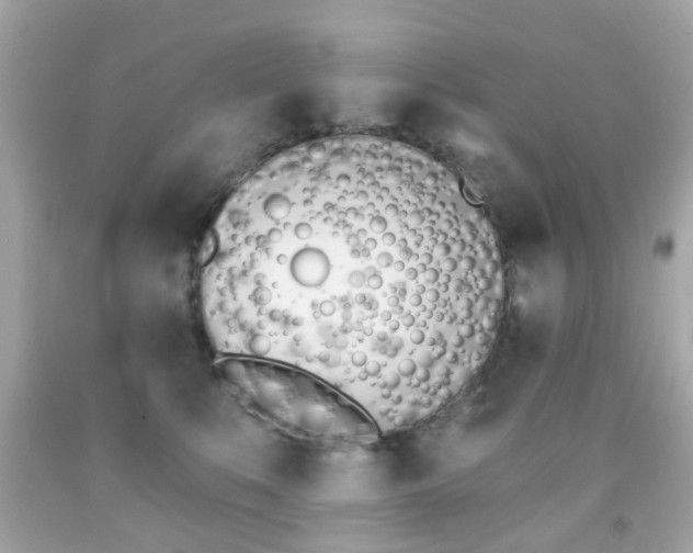 X0000091850519200709050938