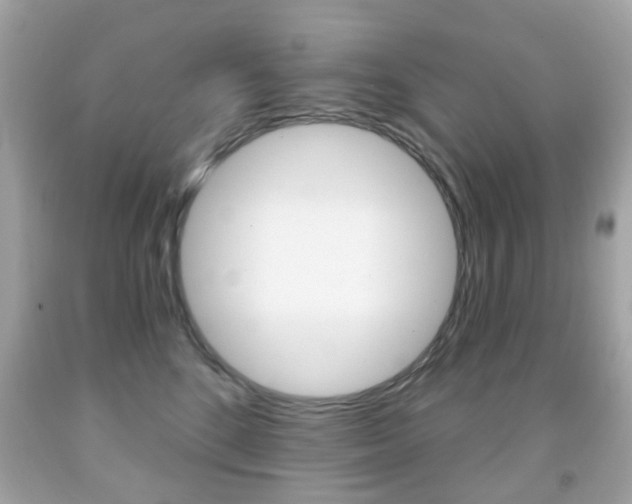 X0000091850520200709050938