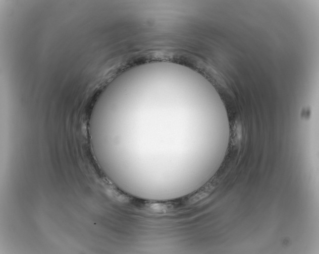X0000091850522200709050938