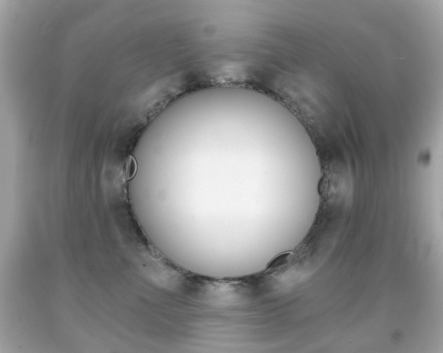 X0000091850523200709050938