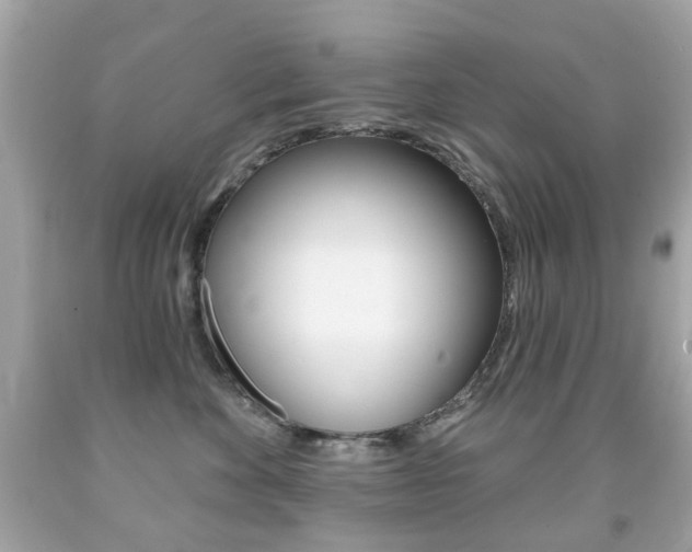 X0000091850524200709050938