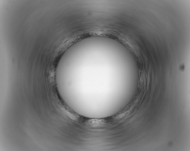 X0000091850526200709050938