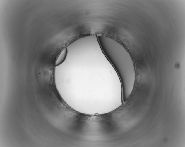 X0000091850527200709050938