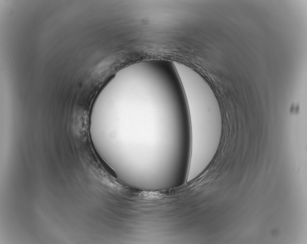 X0000091850528200709050938