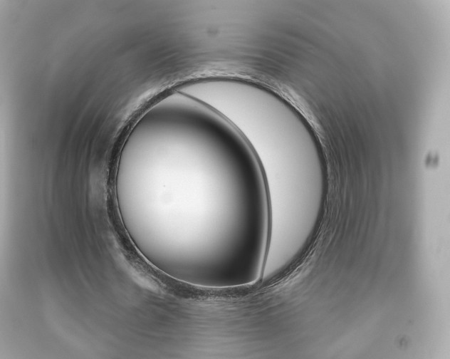 X0000091850530200709050937