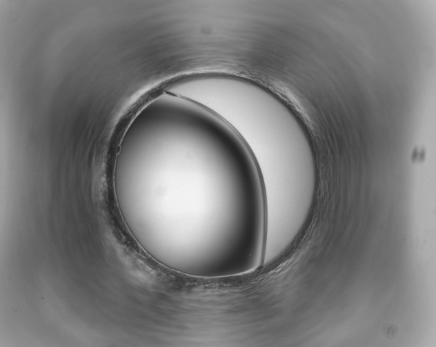 X0000091850532200709050937