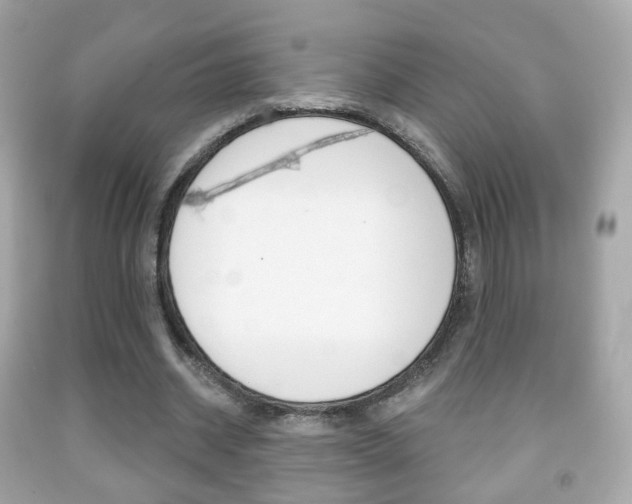 X0000091850534200709050937
