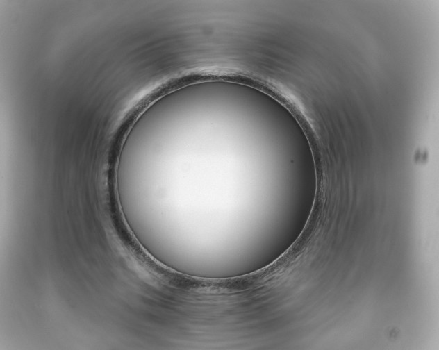 X0000091850535200709050937