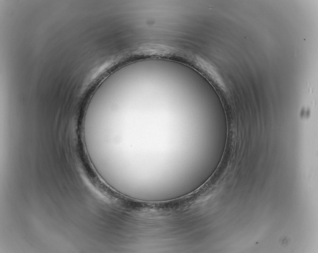 X0000091850538200709050937