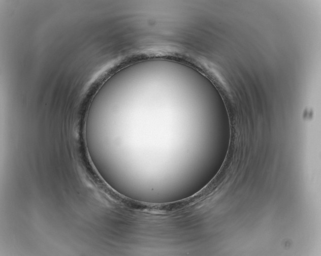 X0000091850539200709050937
