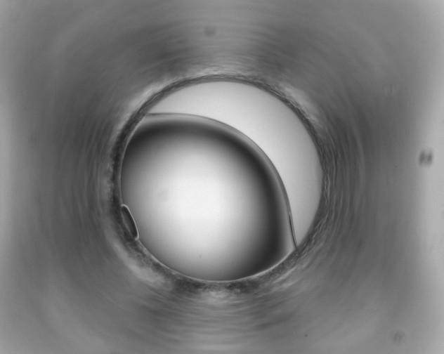 X0000091850540200709050937