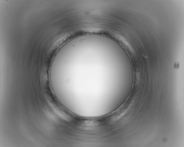 X0000091850541200709050937