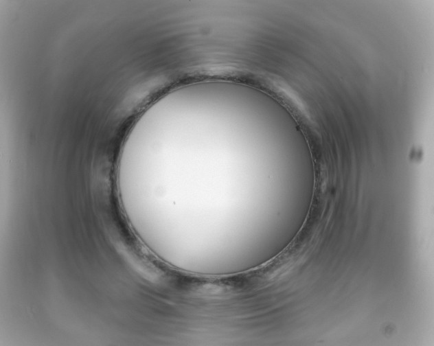 X0000091850542200709050937
