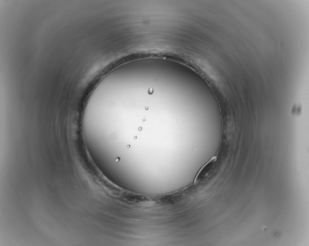 X0000091850544200709050937