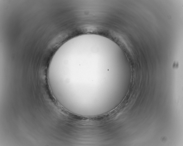 X0000091850545200709050937