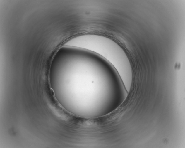 X0000091850546200709050937