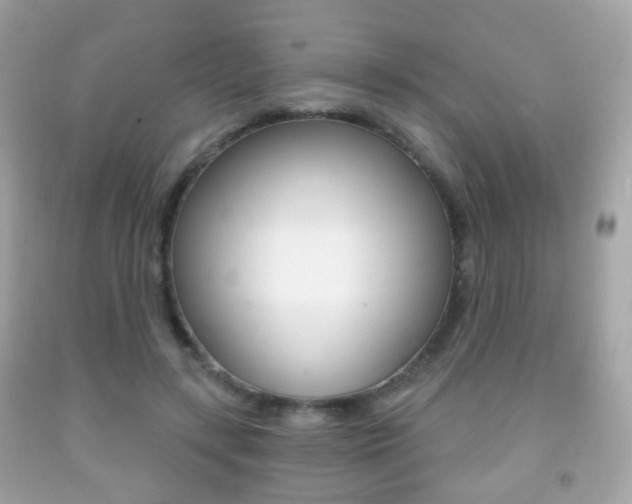 X0000091850547200709050937
