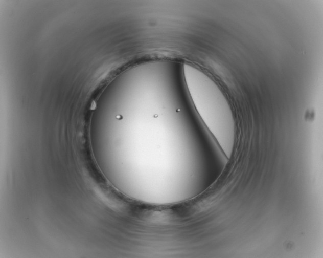 X0000091850548200709050937