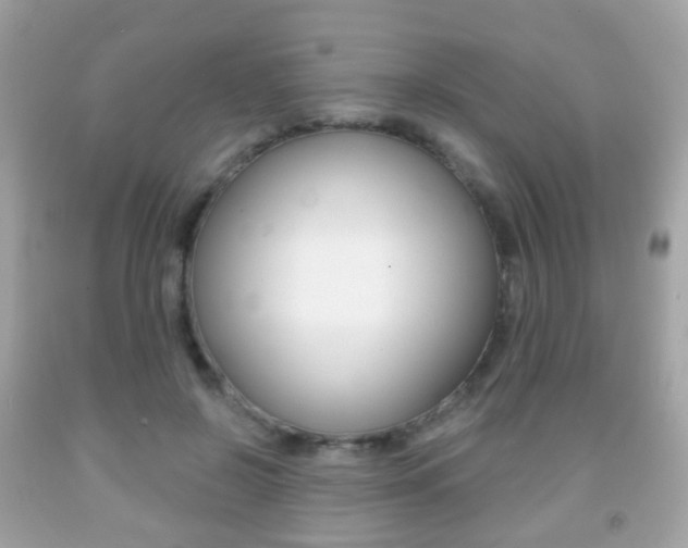 X0000091850550200709050937