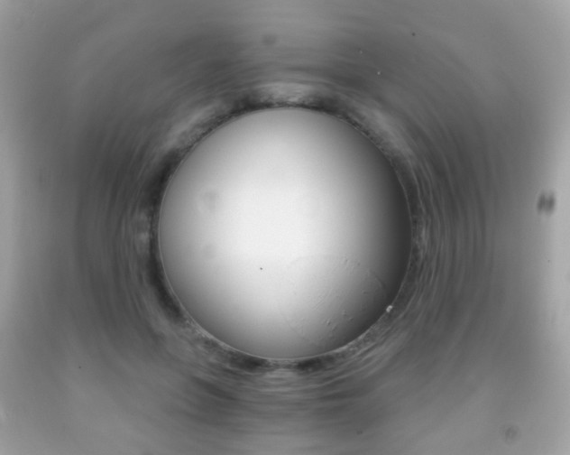 X0000091850551200709050937