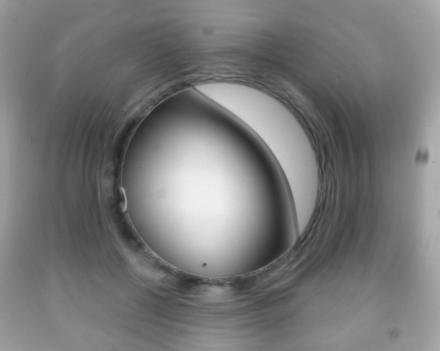 X0000091850552200709050937