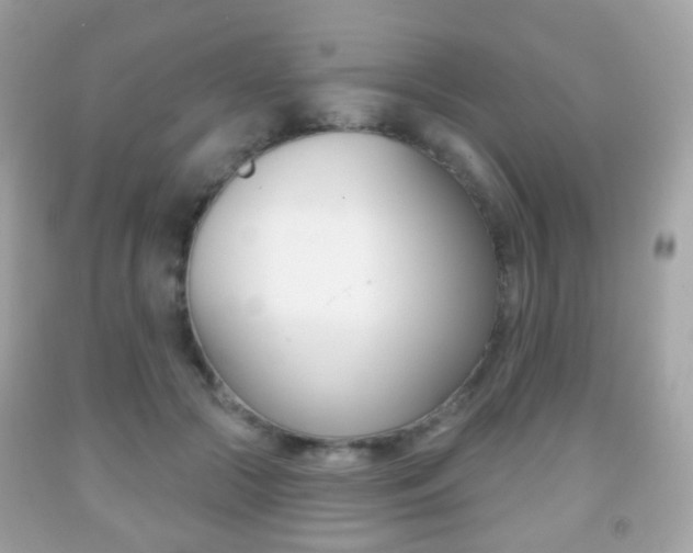 X0000091850553200709050937