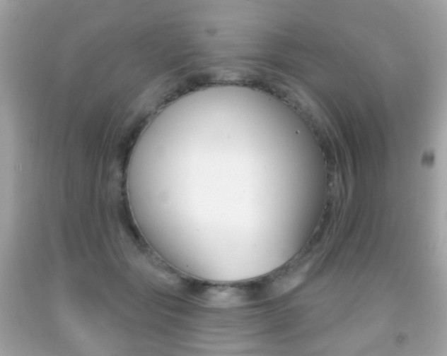 X0000091850557200709050937