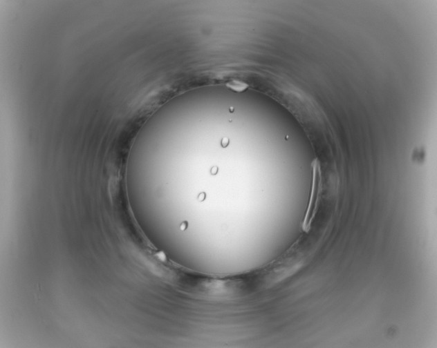 X0000091850558200709050938