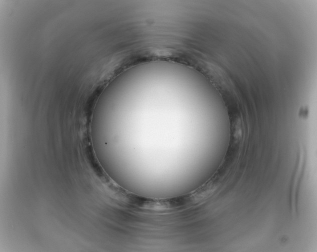 X0000091850559200709050938