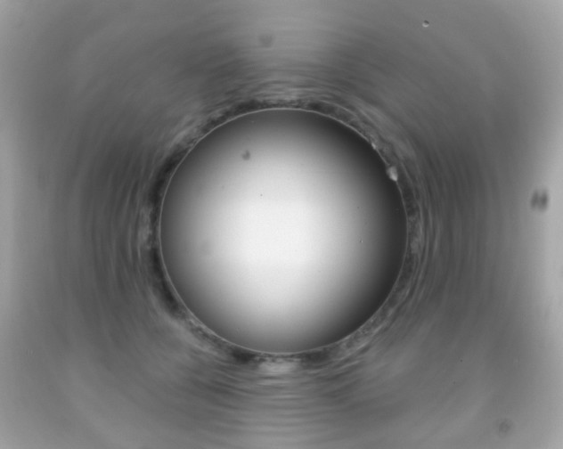 X0000091850560200709050938