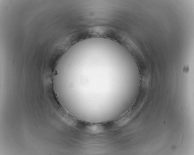 X0000091850561200709050938
