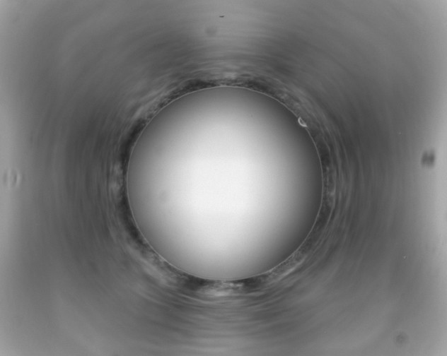 X0000091850563200709050938