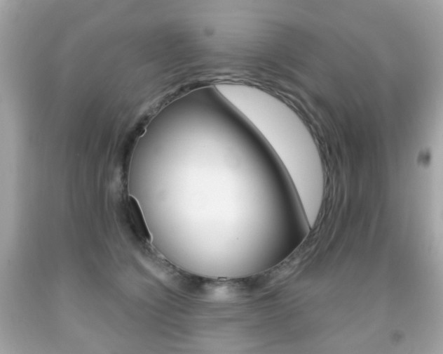 X0000091850564200709050938
