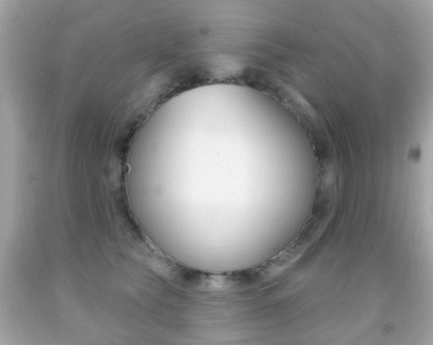 X0000091850565200709050938