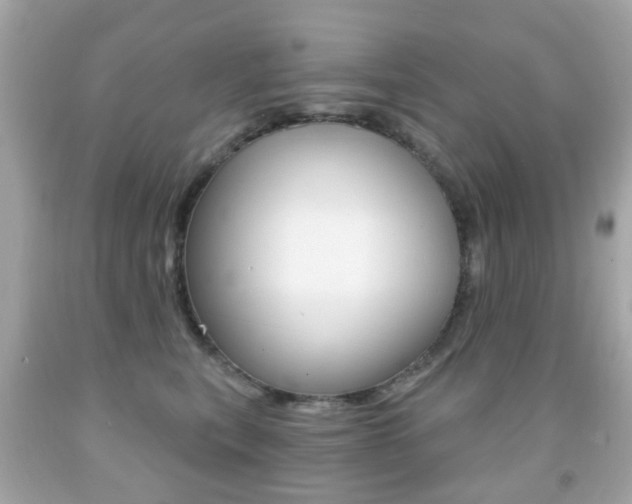 X0000091850567200709050938